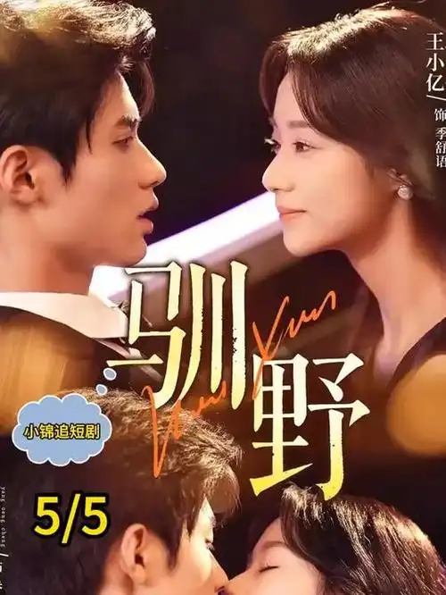 长夜将明热播电视剧全集在线观看